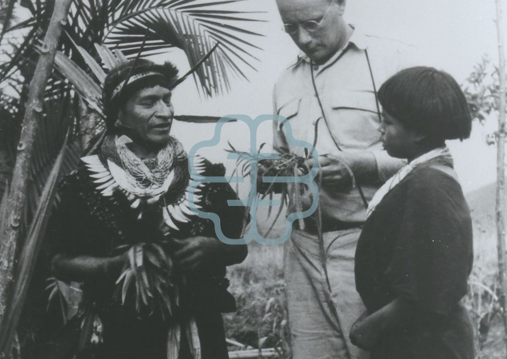 Ayahuasca: It’s Not Just ‘Woo-Woo’ and It’s Definitely Not New Age